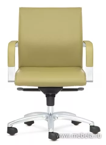 кресло Берн D80