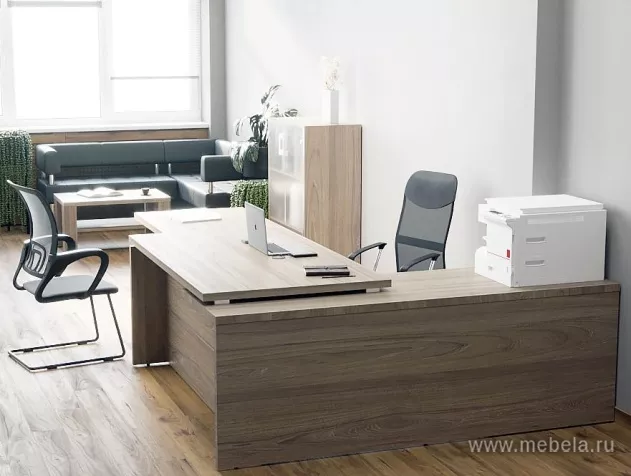 кабинет Ялта Вяз