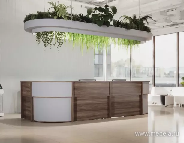 стойка ресепшн Агат