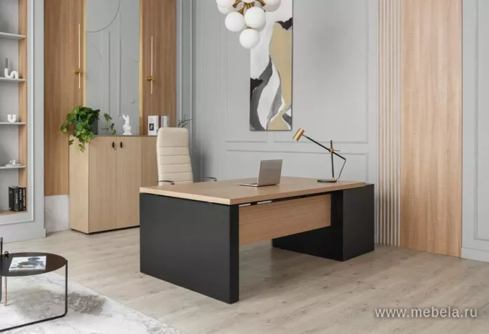 кабинет Ренц Лайт