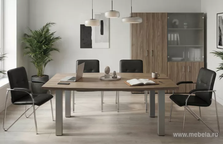 кабинет Ялта Вяз