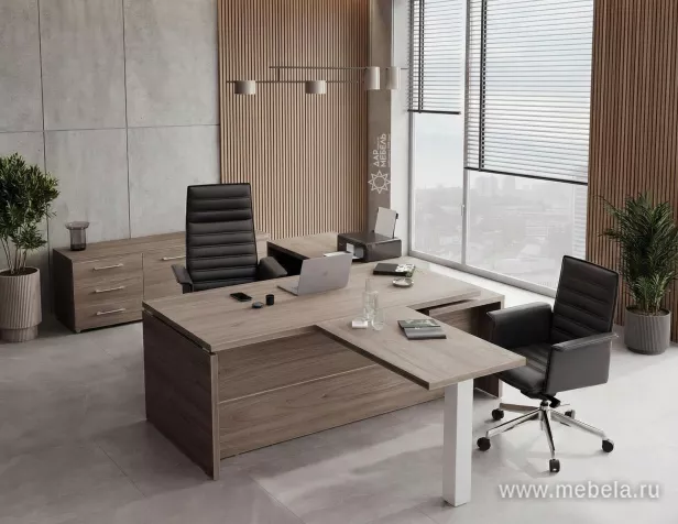 кабинет Ялта Вяз