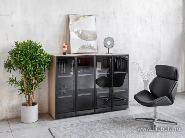 кабинет Ренц Лайт