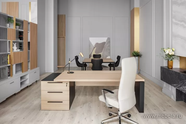 кабинет Ренц Лайт