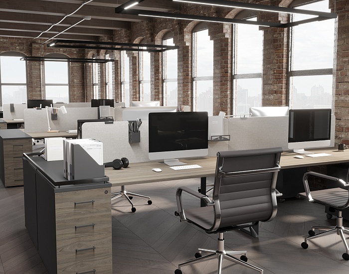 фото мебель Проджект Вяз					 №5					